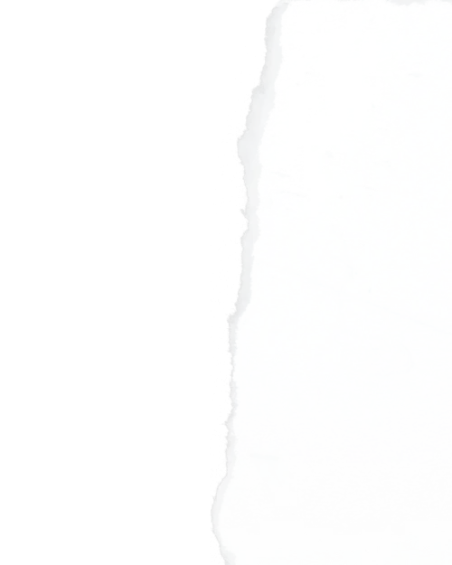 These dreamers share their stories