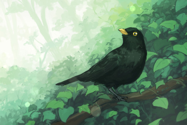amsel suite backerkit